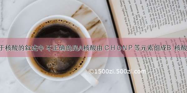 下列关于核酸的叙述中 不正确的是A核酸由 C H O N P 等元素组成B．核酸是细胞