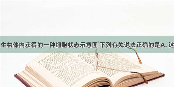 右图是从某生物体内获得的一种细胞状态示意图 下列有关说法正确的是A. 这种生物细胞