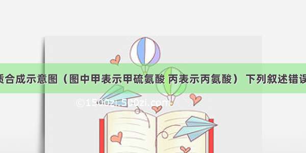 观察蛋白质合成示意图（图中甲表示甲硫氨酸 丙表示丙氨酸） 下列叙述错误的是：A. 