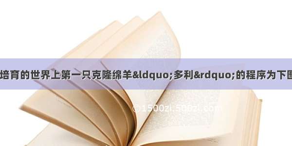 1997年英国科学家培育的世界上第一只克隆绵羊“多利”的程序为下图所示 据图回答下列