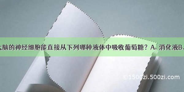 哺乳动物大脑的神经细胞能直接从下列哪种液体中吸收葡萄糖？A. 消化液B. 组织液C. 