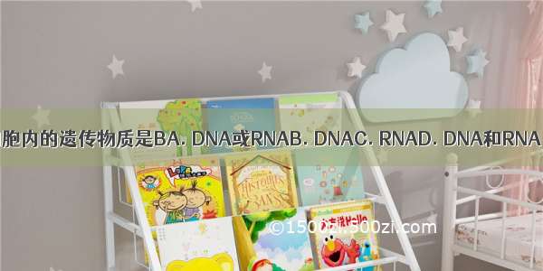 细胞内的遗传物质是BA. DNA或RNAB. DNAC. RNAD. DNA和RNA