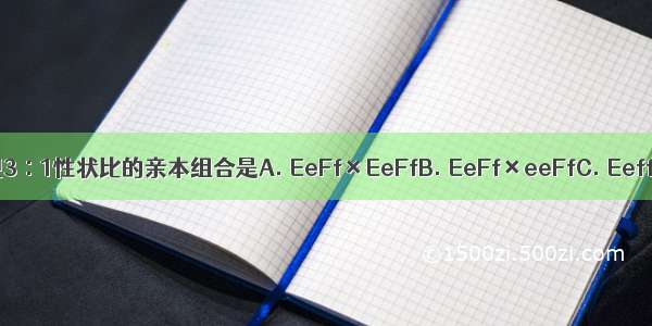 下列杂交组合的后代会出现3∶1性状比的亲本组合是A. EeFf×EeFfB. EeFf×eeFfC. Eeff×eeFfD. EeFf×EeFF