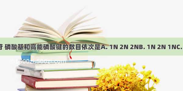 N个ADP分子中含有腺苷 磷酸基和高能磷酸键的数目依次是A. 1N 2N 2NB. 1N 2N 1NC. 2N 1N 2ND. 2N 1N 1N