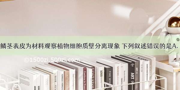 以紫色洋葱鳞茎表皮为材料观察植物细胞质壁分离现象 下列叙述错误的是A. 质壁分离是