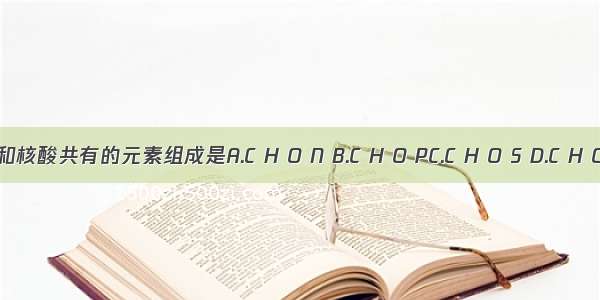 蛋白质和核酸共有的元素组成是A.C H O N B.C H O PC.C H O S D.C H O N P