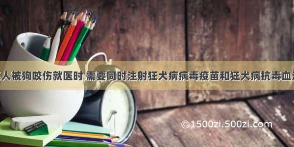 （10分）某人被狗咬伤就医时 需要同时注射狂犬病病毒疫苗和狂犬病抗毒血清。请回答下