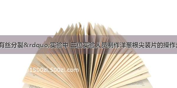 在“观察植物细胞有丝分裂”实验中 三位实验人员制作洋葱根尖装片的操作步骤(“＋”