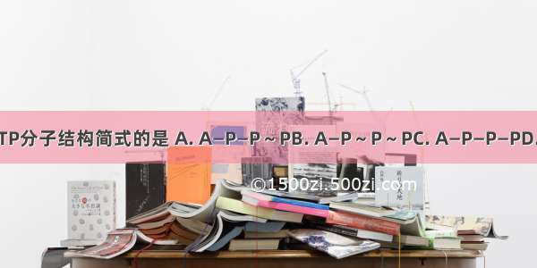 能正确表示ATP分子结构简式的是 A. A—P—P～PB. A—P～P～PC. A—P—P—PD. A～P～P～P