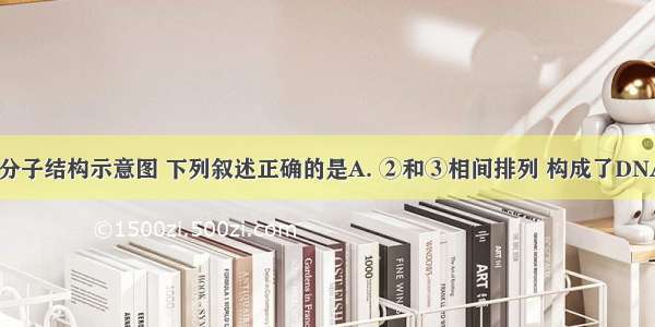 右图为DNA分子结构示意图 下列叙述正确的是A. ②和③相间排列 构成了DNA分子的基本