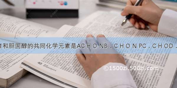 组成生长激素和胆固醇的共同化学元素是AC H O NB．C H O N PC．C H OD．C H O N P S