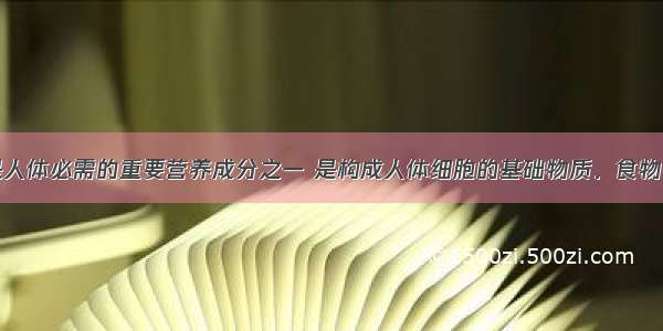 ________是人体必需的重要营养成分之一 是构成人体细胞的基础物质．食物中的蛋白质在