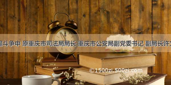 在重庆打黑斗争中 原重庆市司法局局长 重庆市公安局副党委书记 副局长许文强涉嫌犯