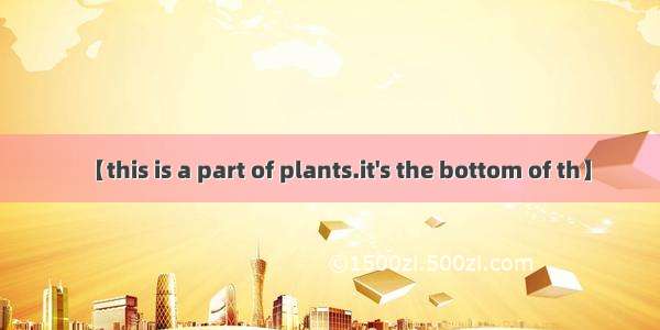 【this is a part of plants.it's the bottom of th】