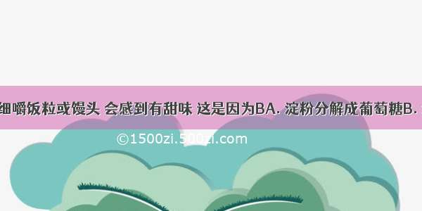 在口腔里细嚼饭粒或馒头 会感到有甜味 这是因为BA. 淀粉分解成葡萄糖B. 淀粉分解