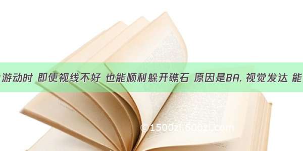 鱼在水中游动时 即使视线不好 也能顺利躲开礁石 原因是BA. 视觉发达 能看清礁石