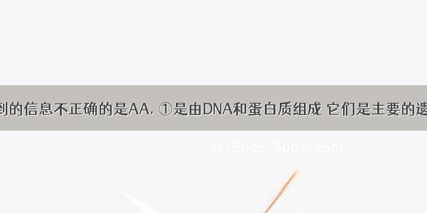 观察图 得到的信息不正确的是AA. ①是由DNA和蛋白质组成 它们是主要的遗传物质B. 