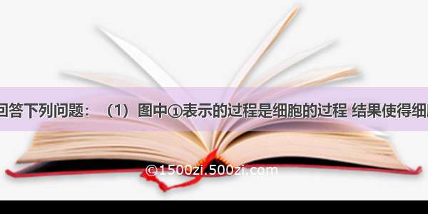 如图所示 回答下列问题：（1）图中①表示的过程是细胞的过程 结果使得细胞的　（2）