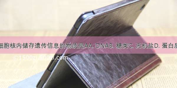 细胞核内储存遗传信息的物质是AA. DNAB. 糖类C. 无机盐D. 蛋白质