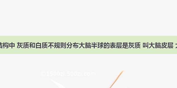 在大脑的结构中 灰质和白质不规则分布大脑半球的表层是灰质 叫大脑皮层 大脑皮层以