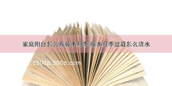 家庭阳台怎么养藤本月季 藤本月季盆栽怎么浇水