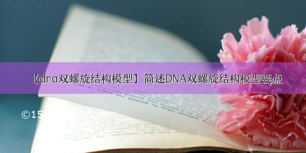 【dna双螺旋结构模型】简述DNA双螺旋结构模型要点