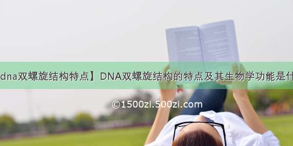 【dna双螺旋结构特点】DNA双螺旋结构的特点及其生物学功能是什么?