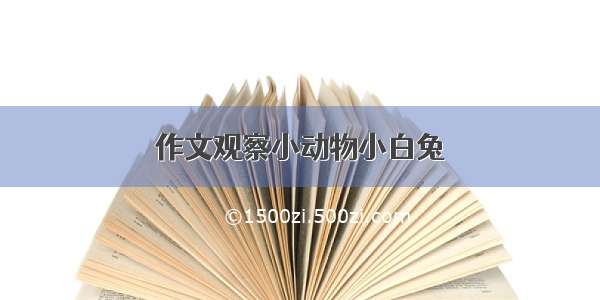 作文观察小动物小白兔