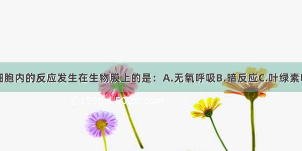 单选题下列细胞内的反应发生在生物膜上的是：A.无氧呼吸B.暗反应C.叶绿素吸收转化光能