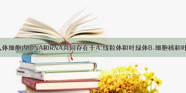 单选题在人体细胞内 DNA和RNA共同存在于A.线粒体和叶绿体B.细胞核和叶绿体C.线