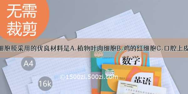 单选题制备细胞膜采用的优良材料是A.植物叶肉细胞B.鸡的红细胞C.口腔上皮细胞D.猪的