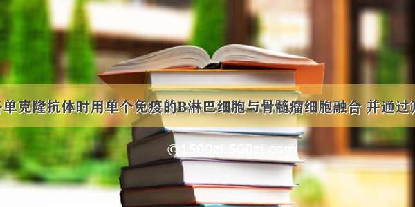 单选题制备单克隆抗体时用单个免疫的B淋巴细胞与骨髓瘤细胞融合 并通过筛选和培养 