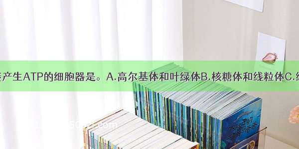 在生物体内能产生ATP的细胞器是。A.高尔基体和叶绿体B.核糖体和线粒体C.线粒体和叶绿