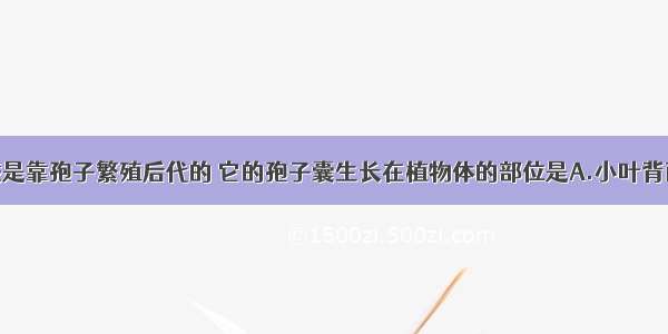 单选题铁线蕨是靠孢子繁殖后代的 它的孢子囊生长在植物体的部位是A.小叶背面边缘B.小叶